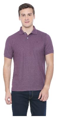 

Peter England Men Purple Regular fit Cotton Blend Polo collar T-Shirt - Pack Of 1