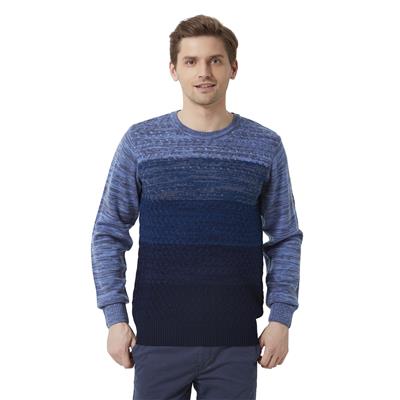 

Peter England Men Blue Round neck Cardigan