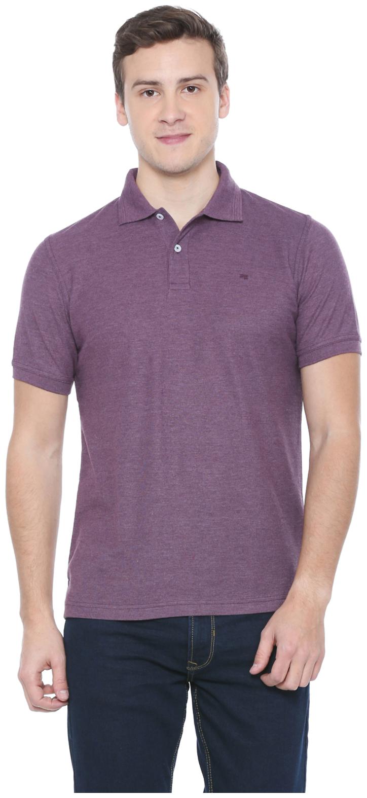 

Peter England Men Purple Regular fit Cotton Blend Polo collar T-Shirt - Pack Of 1