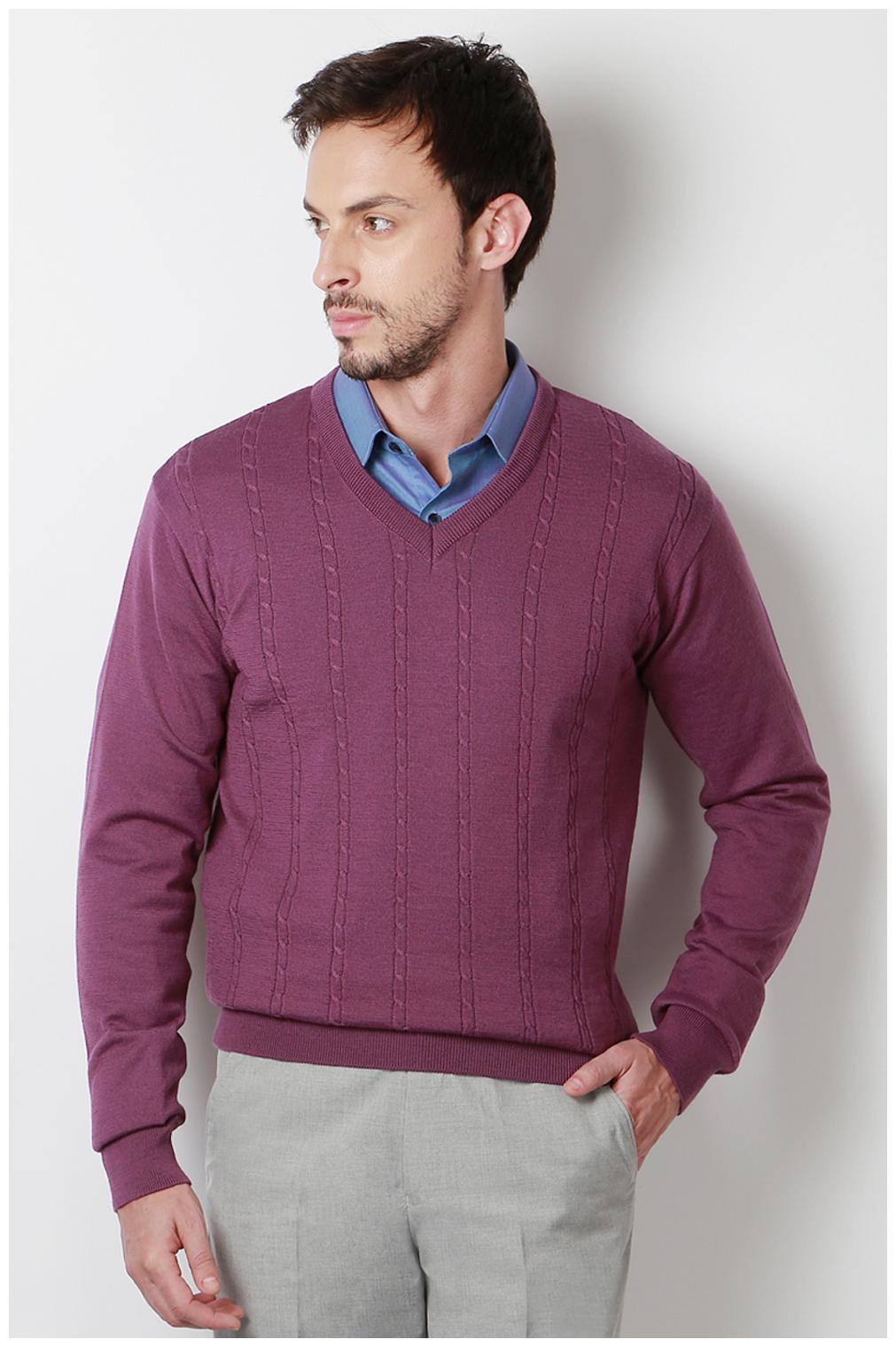 

Peter England Purple Sweater