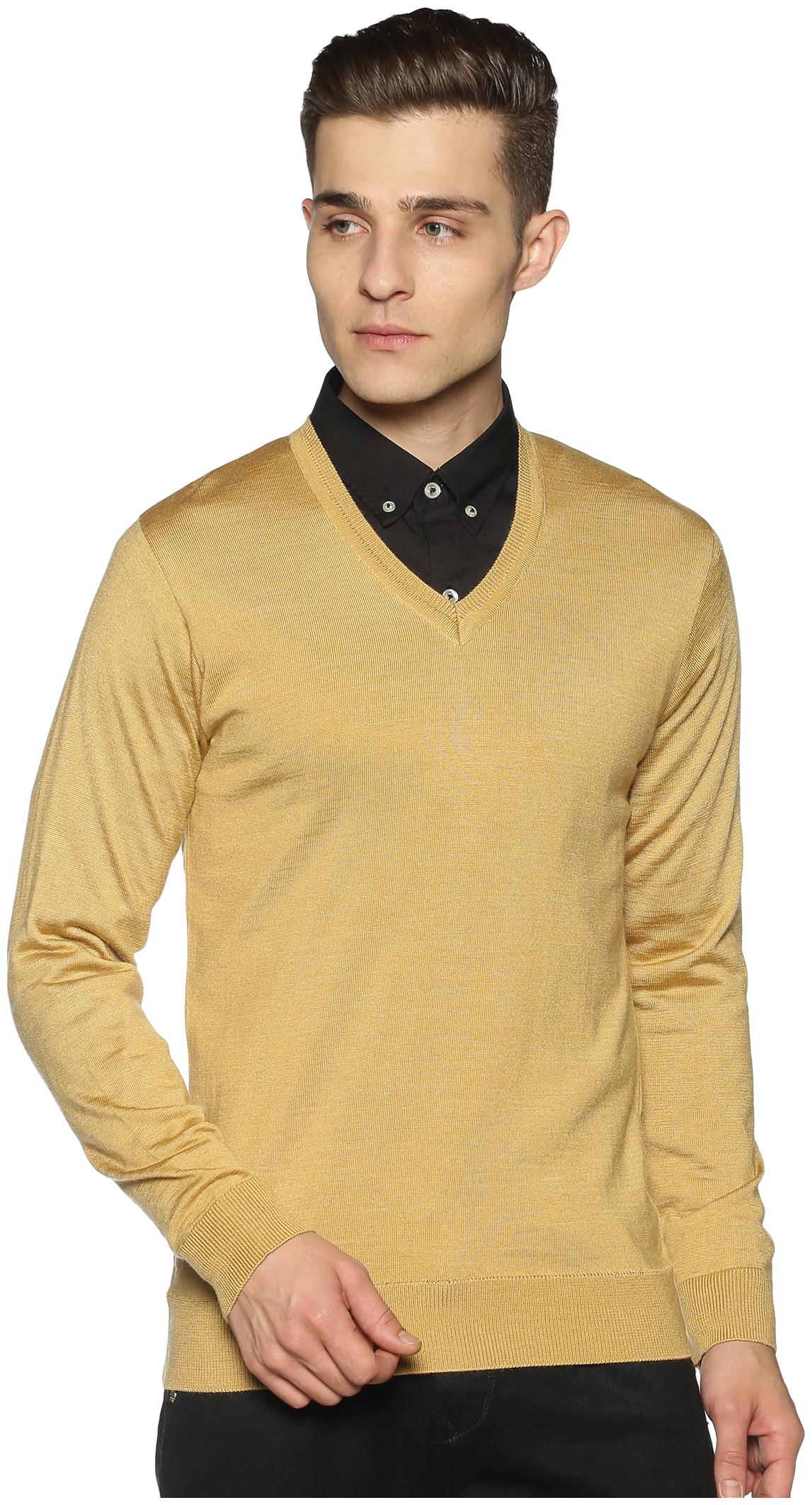 

PICOT Men Beige V neck Pullover