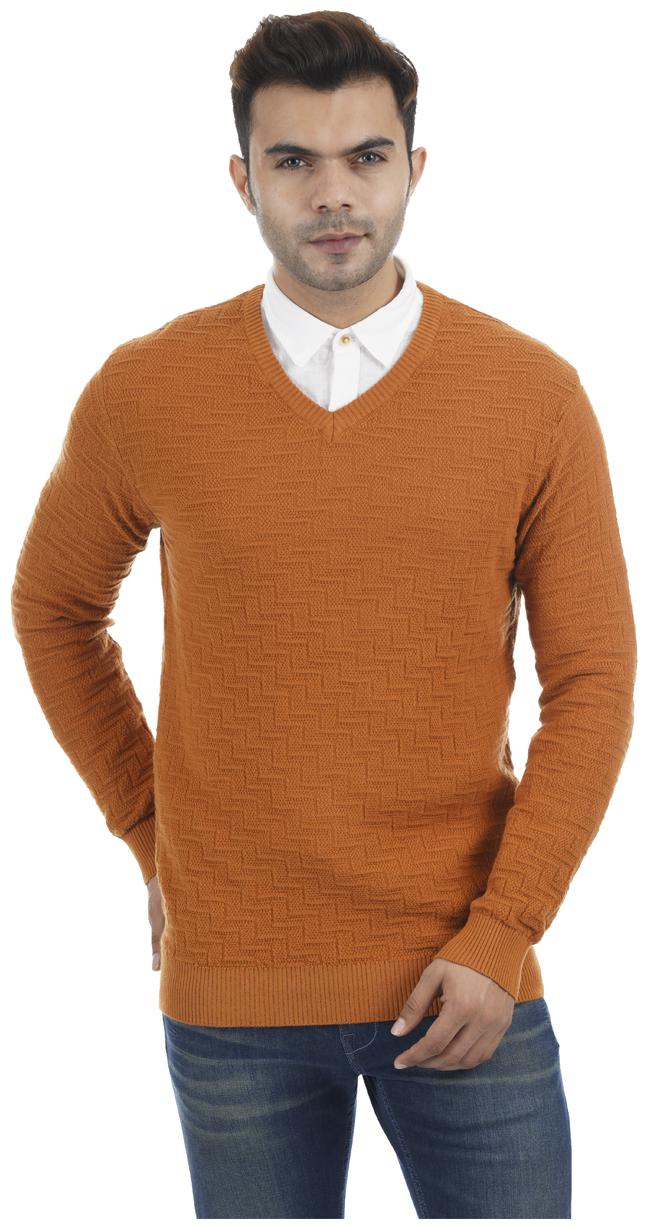 

Portobello Men Brown V neck Pullover