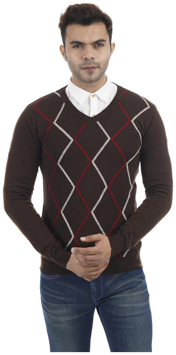 

Portobello Men Brown V neck Pullover