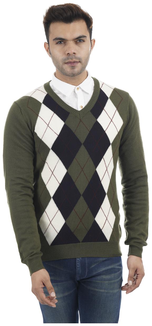 

Portobello Men Green V neck Pullover