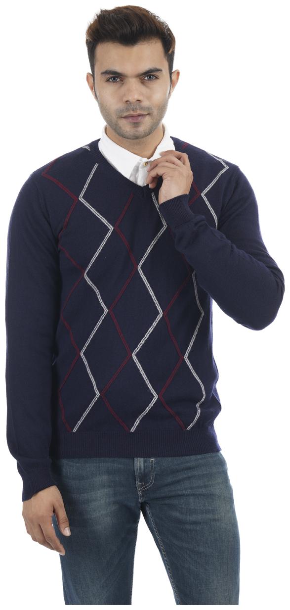 

Portobello Men Blue V neck Pullover