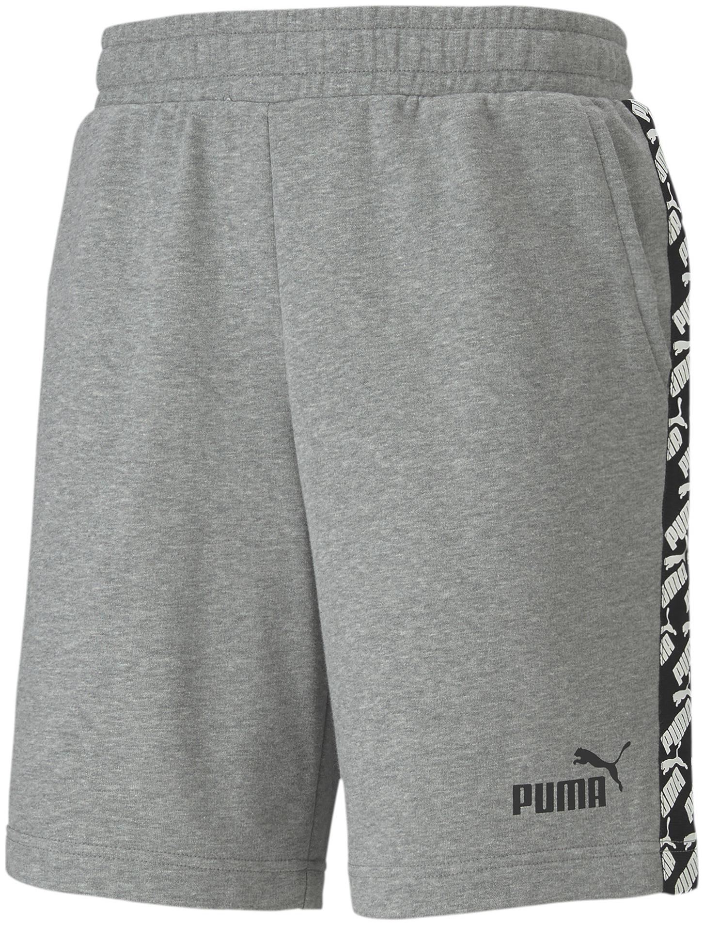 

Puma Men Grey Regular Fit Regular Shorts