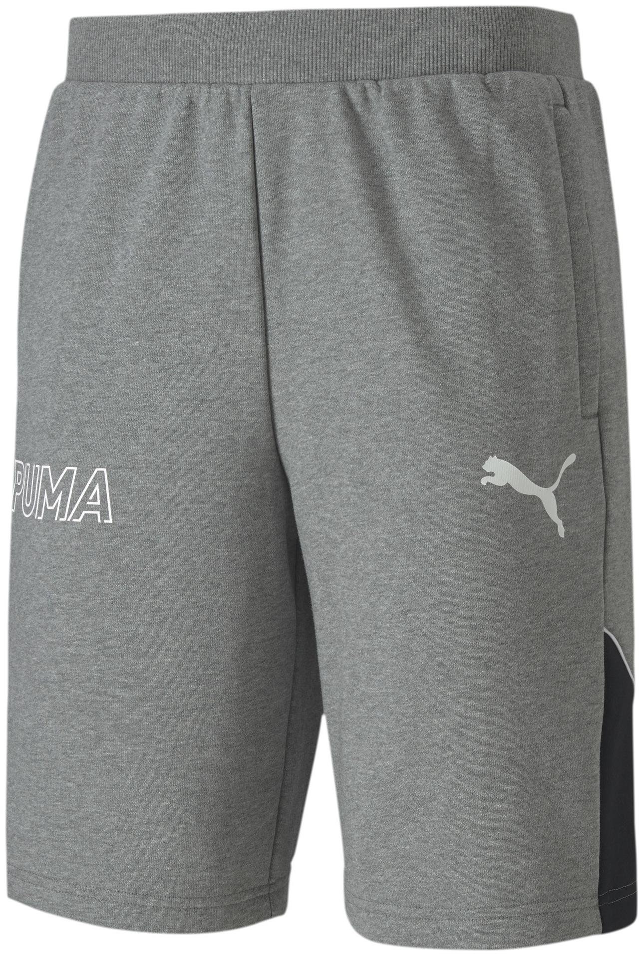 

Puma Men Grey Regular Fit Regular Shorts