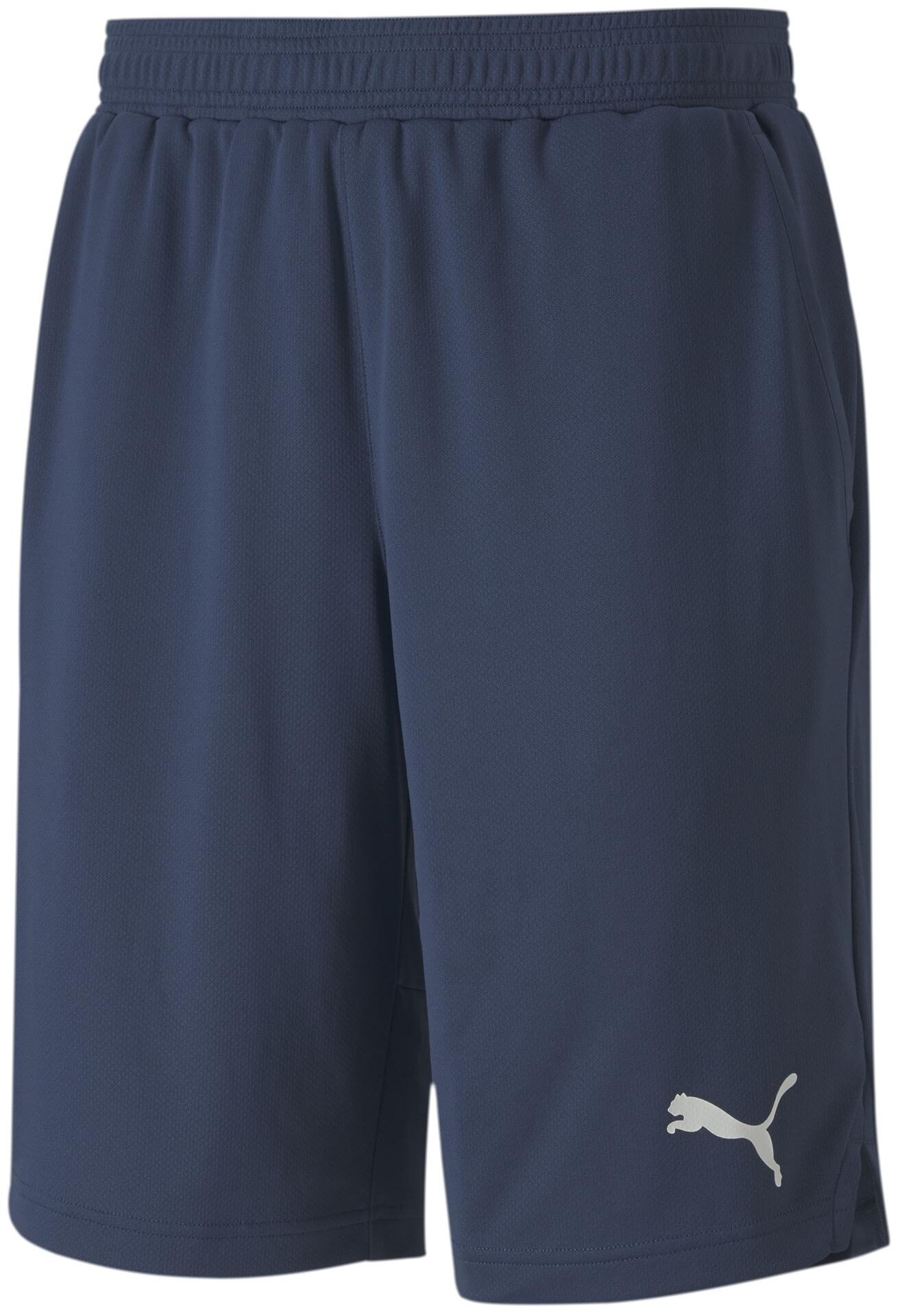 

Puma Men Blue Regular Fit Regular Shorts
