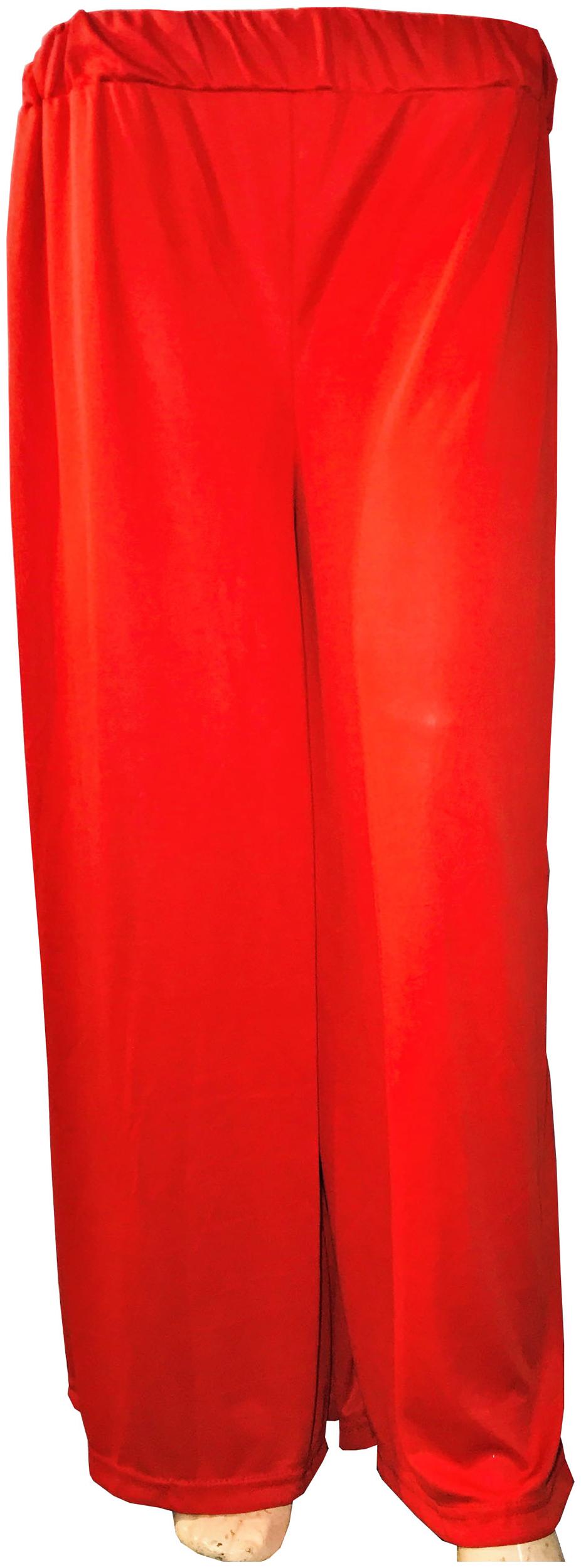 

QAMASH women s latest in trend silky plazzo