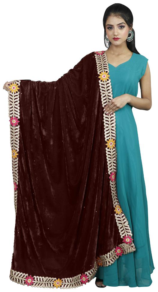 

Rajkumari Womens Border Velvet Stone Work Dupatta Brown