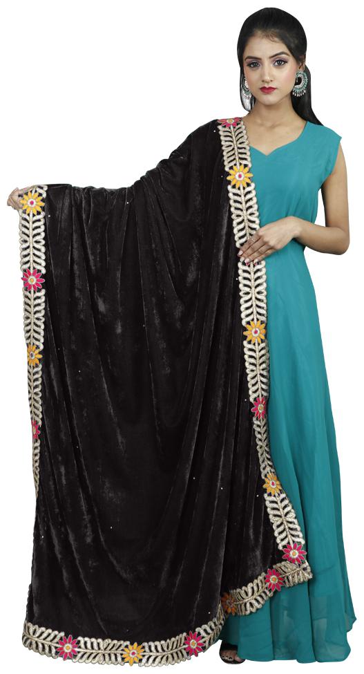 

Rajkumari Womens Border Velvet Stone Work Dupatta Black