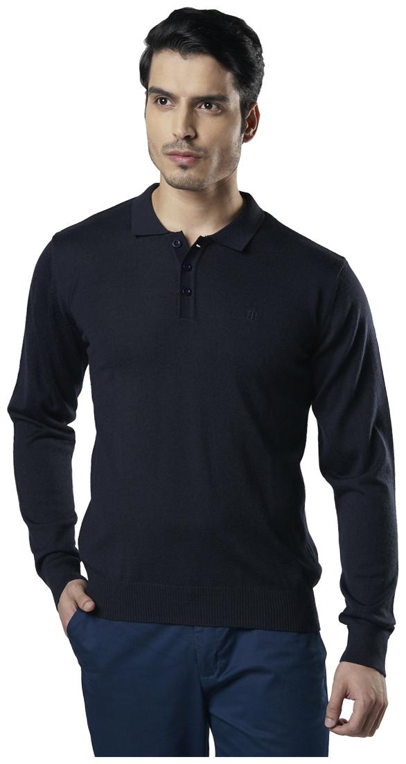 

Raymond Men Blue V neck Pullover