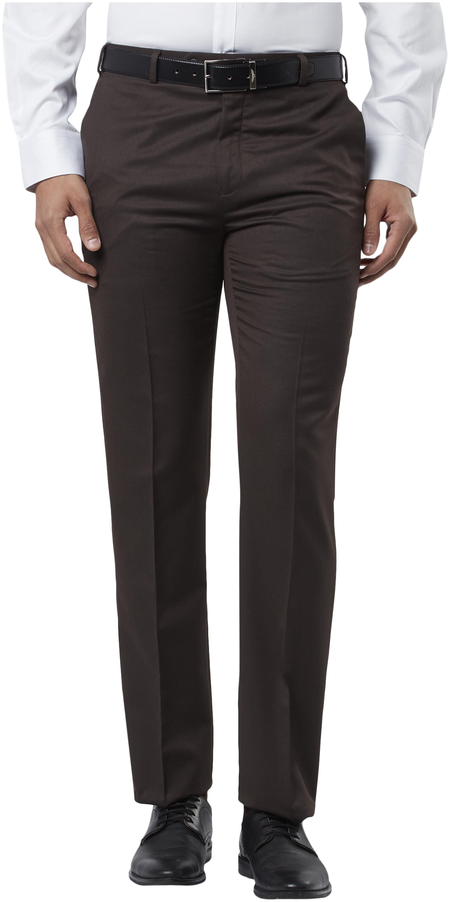 

Raymond Men Solid Regular Fit Formal Trouser - Brown