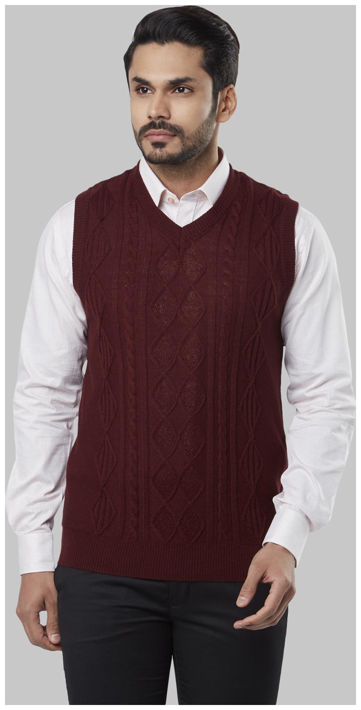 

Raymond Men Maroon V neck Pullover