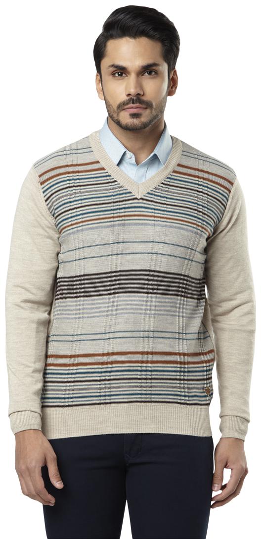

Raymond Men Brown V neck Pullover