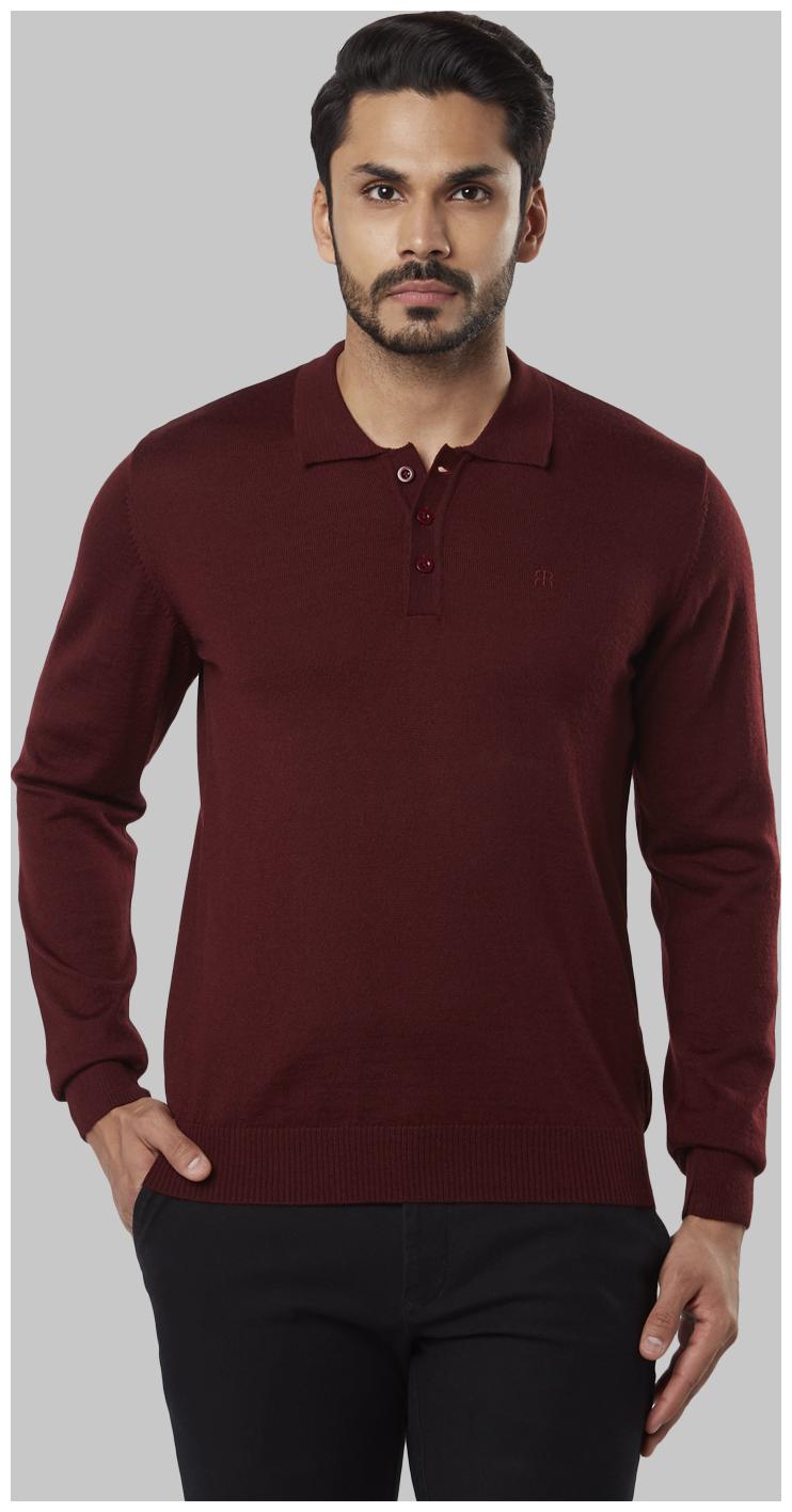 

Raymond Men Maroon Turtle neck Pullover