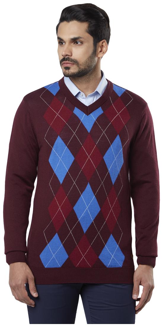 

Raymond Men Maroon V neck Pullover