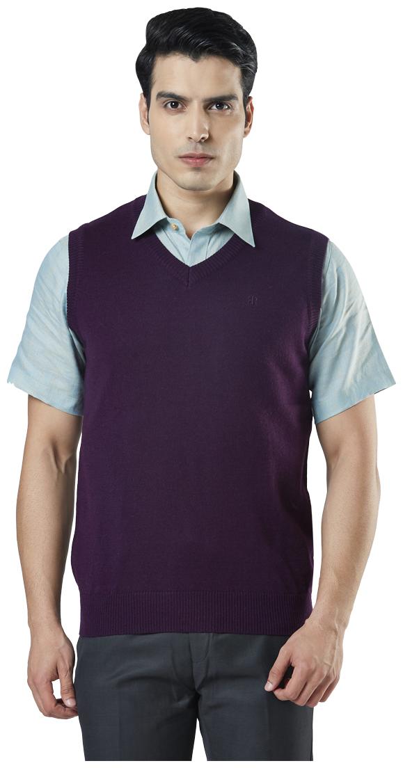 

Raymond Men Beige V neck Pullover