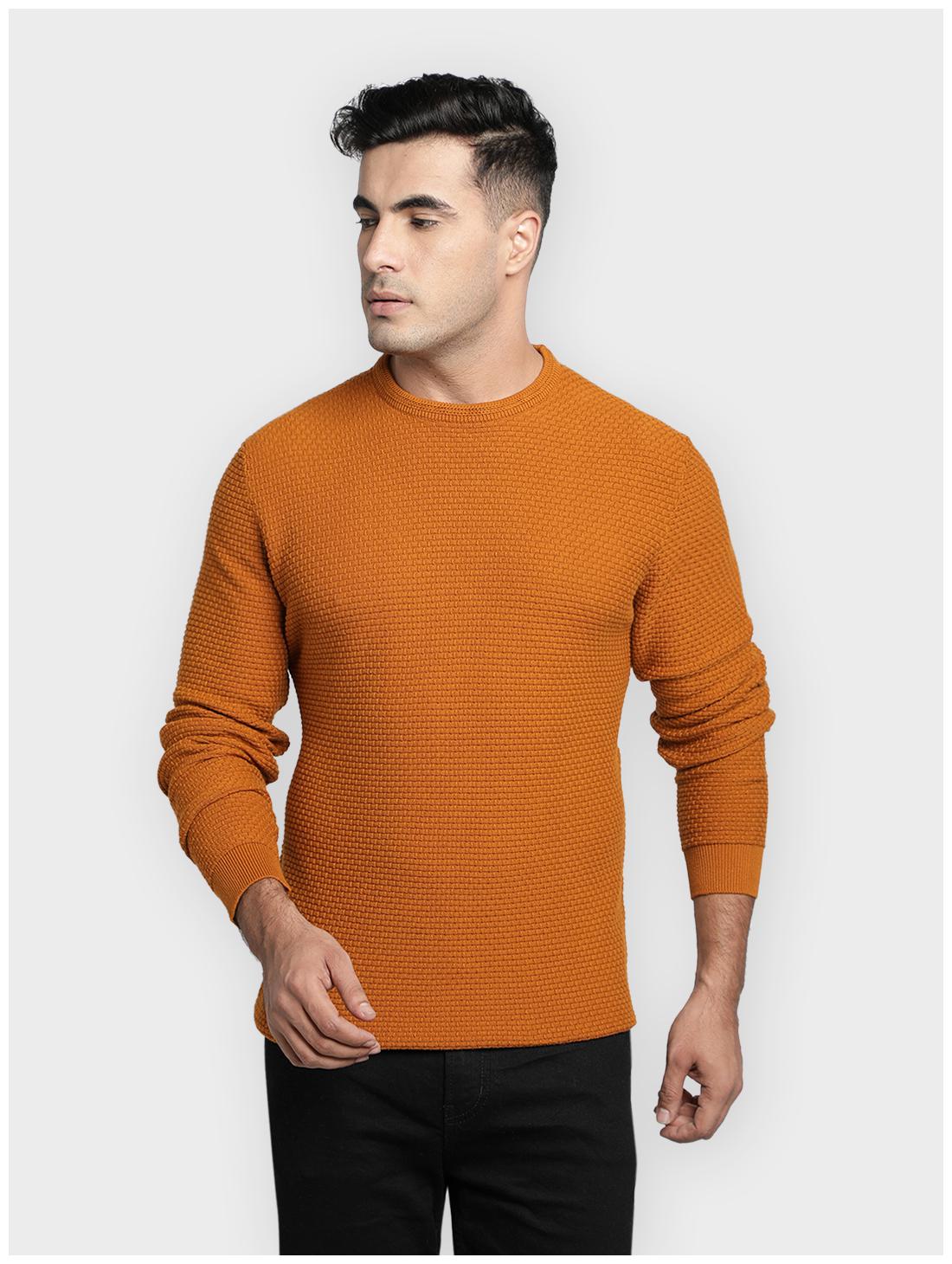 

Red Tape Men Yellow Round neck Longline sweater