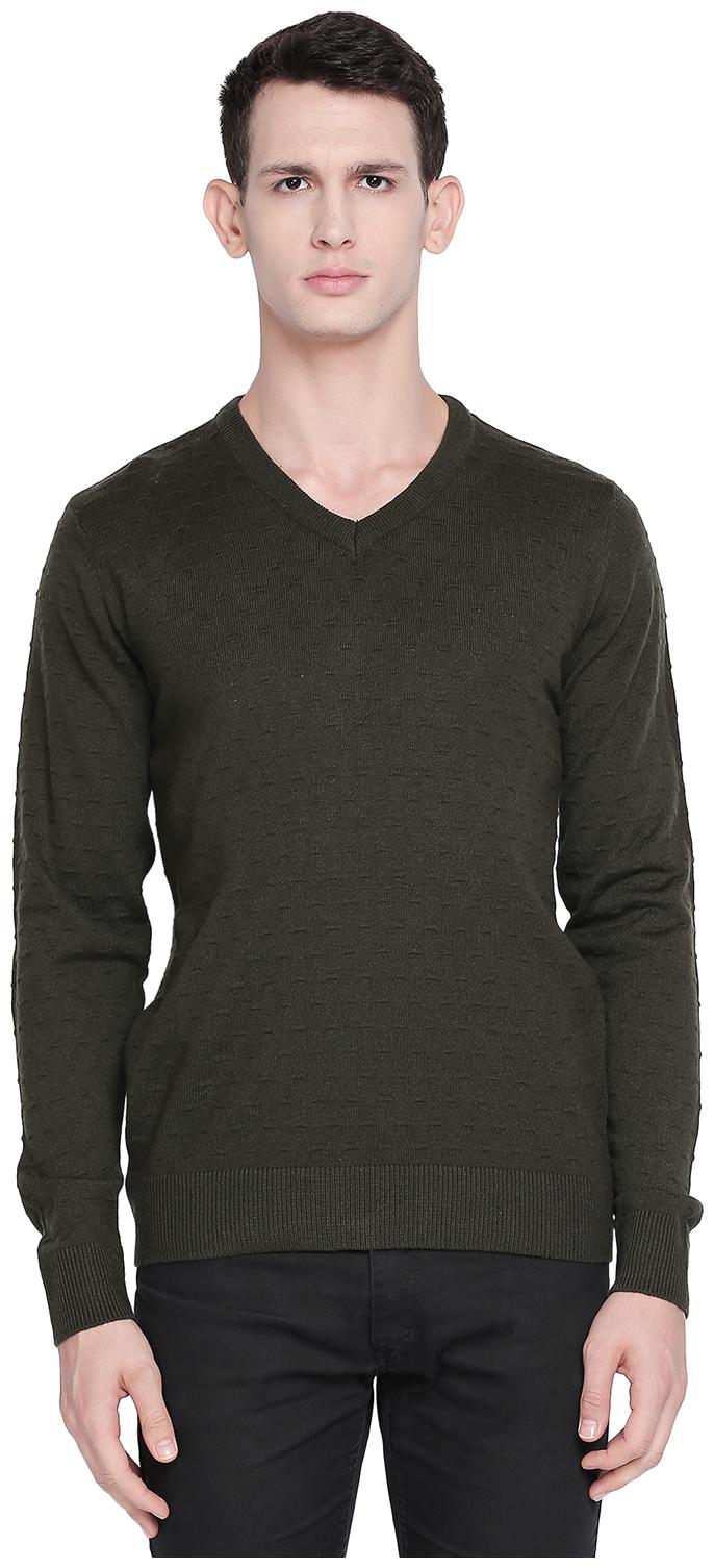 

Richard Parker by Pantaloons Blended Men Green Pullover