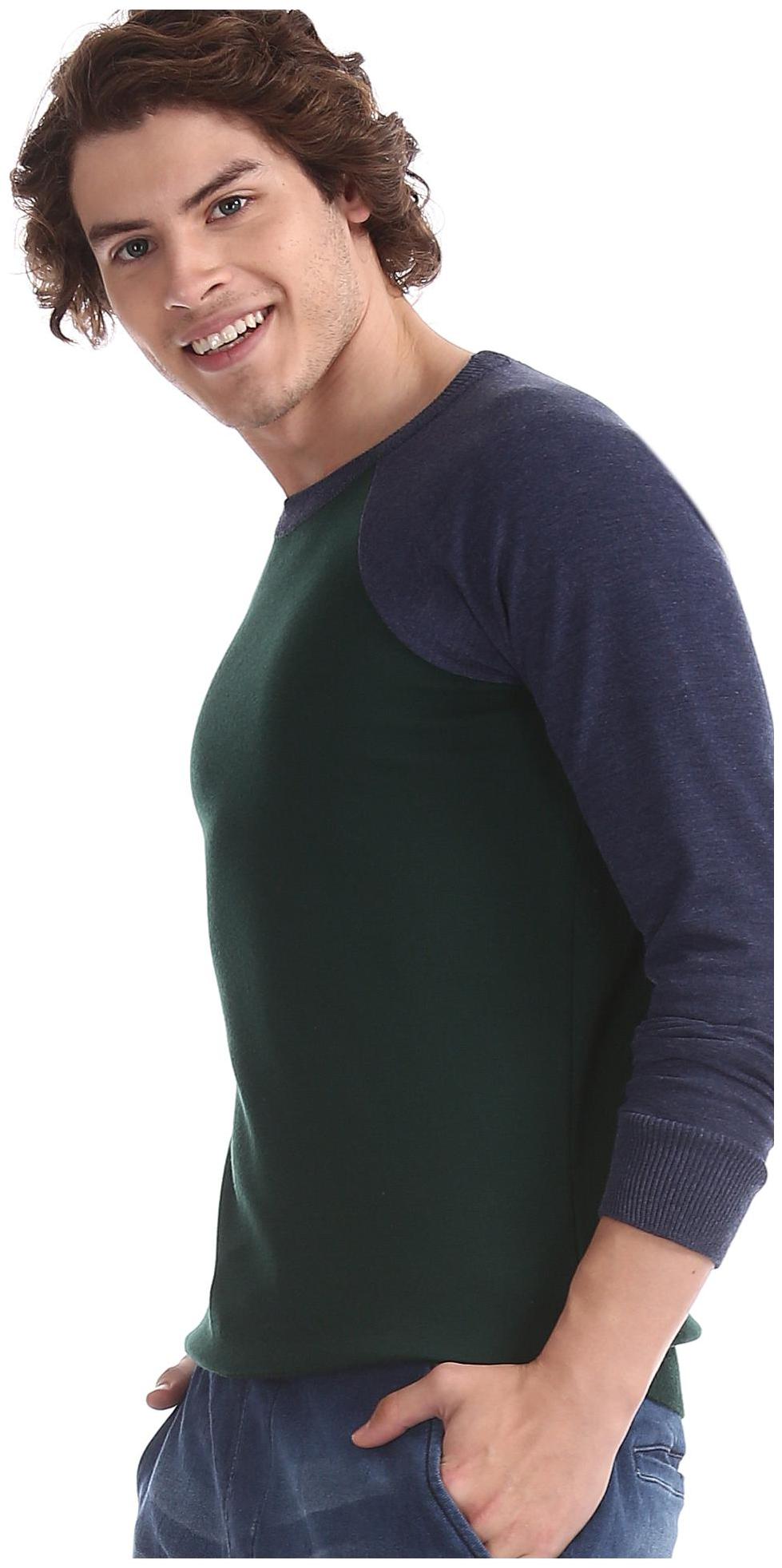

RUGGERS Men Green Round neck Pullover