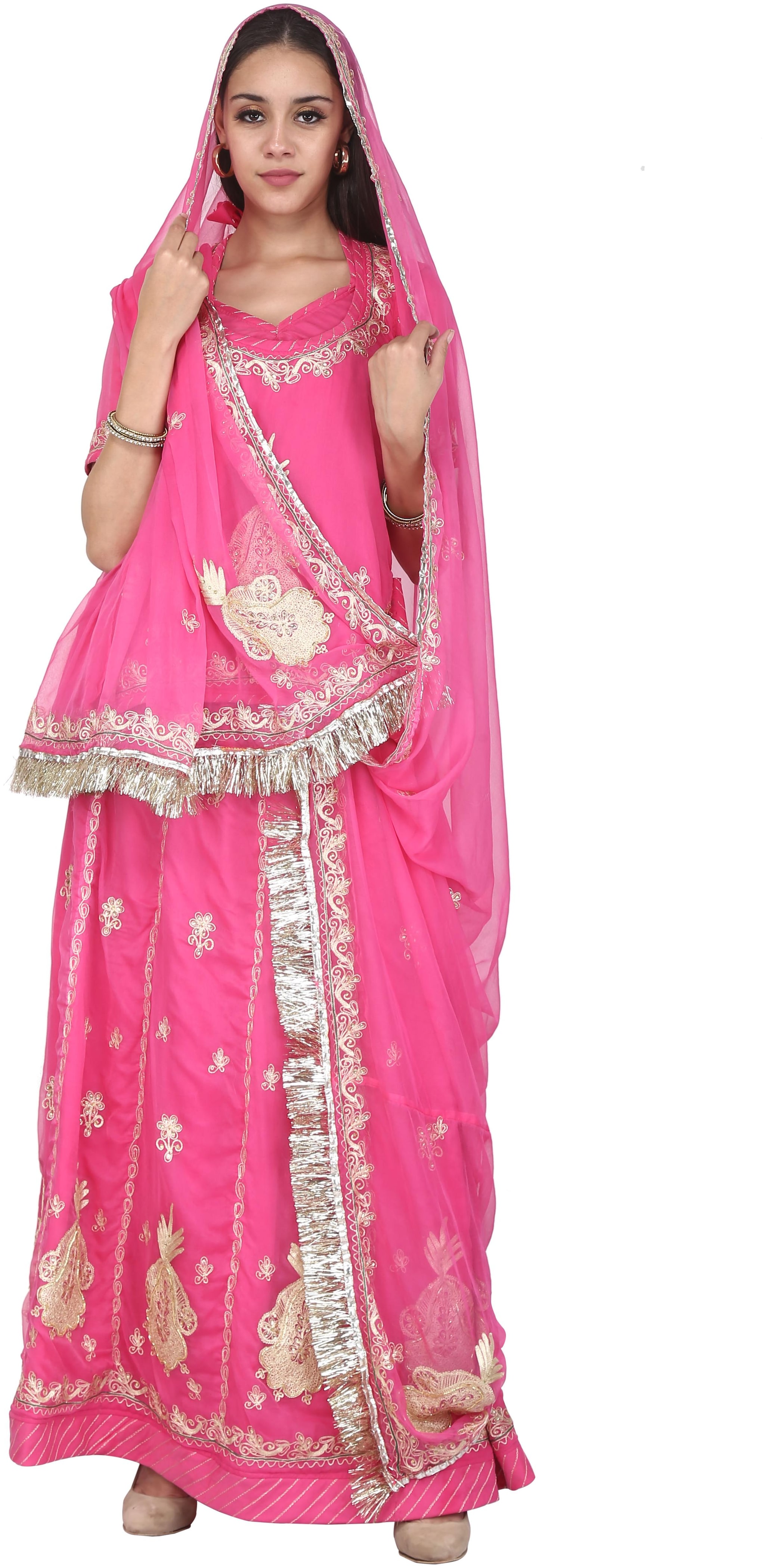 

SAARVI Women Georgette Embroidered Lehenga Choli Pink