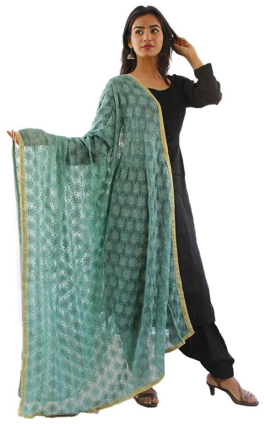 

Sahej Suits Women Fashion Chiffon Phulkari Kanchan Dupatta Light Grey
