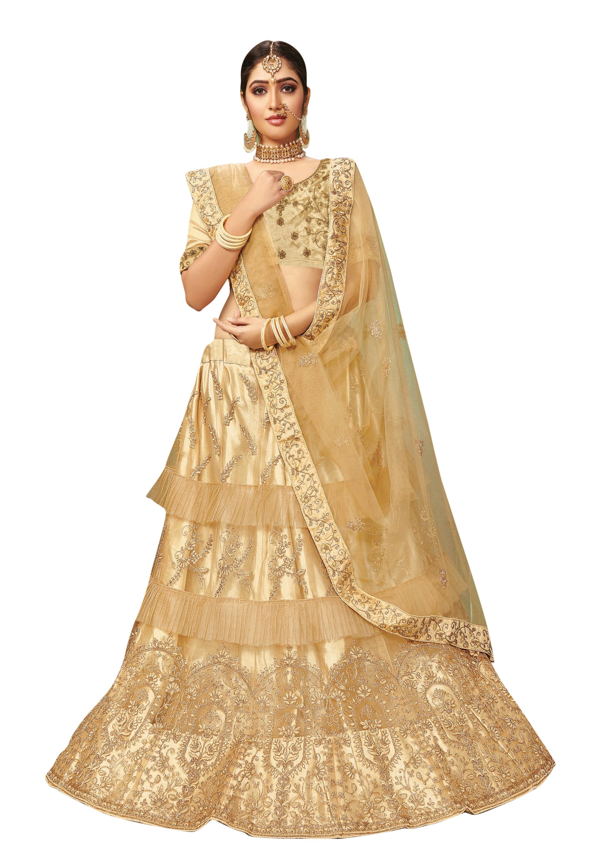 

Sainoor Women Embrodeired Lehenga Choli Net Beige