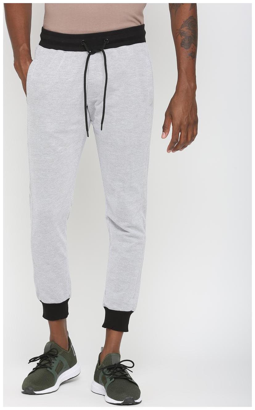 

SKULT by Shahid Kapoor Men Light Grey With Contrast Waitband Print at Back Calf Jogger
