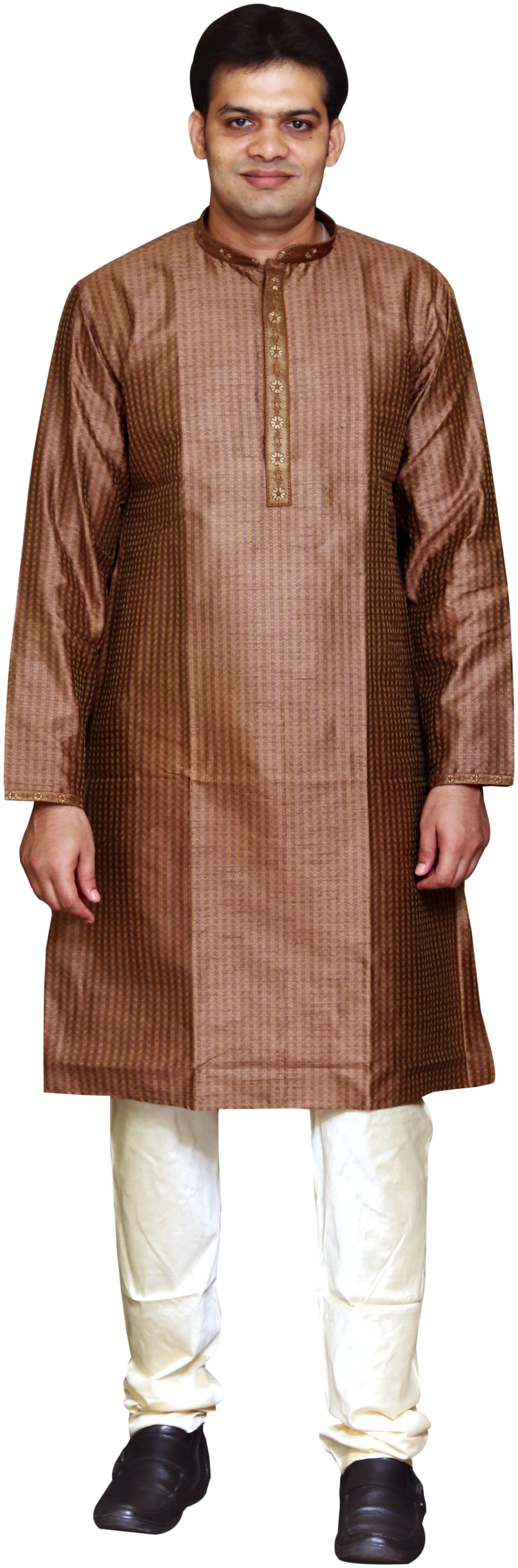 

Sreemant Men Brown Regular Fit Kurta
