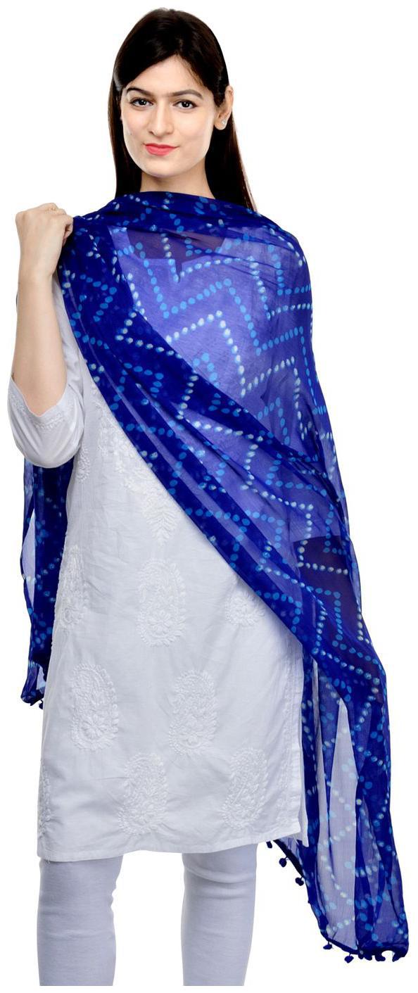 

Weavers Villa Printed Faux Chiffon Dupattas Blue Women s Dupatta Scarf Stole