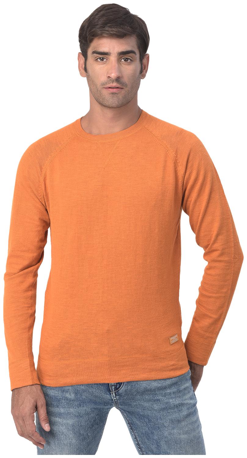 

Woodland Men Orange Round neck Pullover