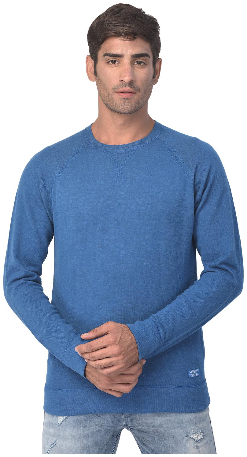 

Woodland Men Blue Round neck Pullover