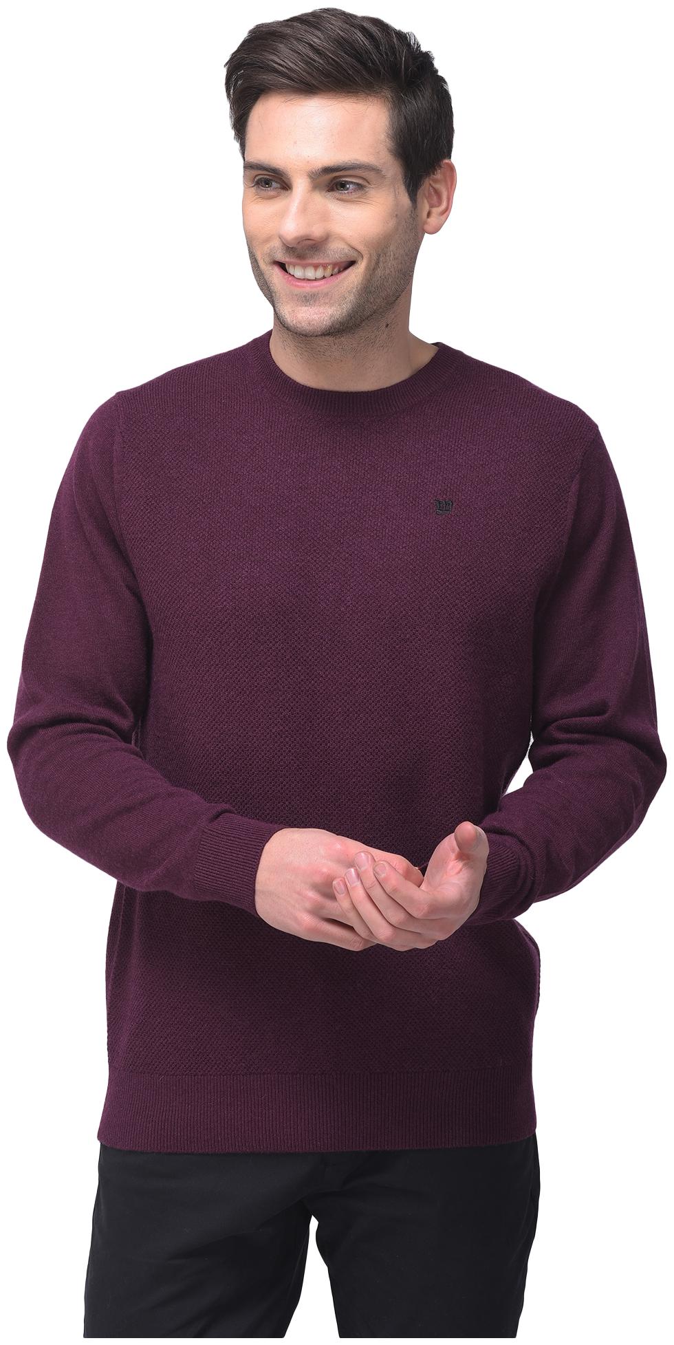 

Woodland Men Purple Round neck Pullover