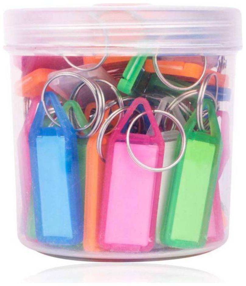 

Brecken paul multipurpose plastic keychain -pack of (50)