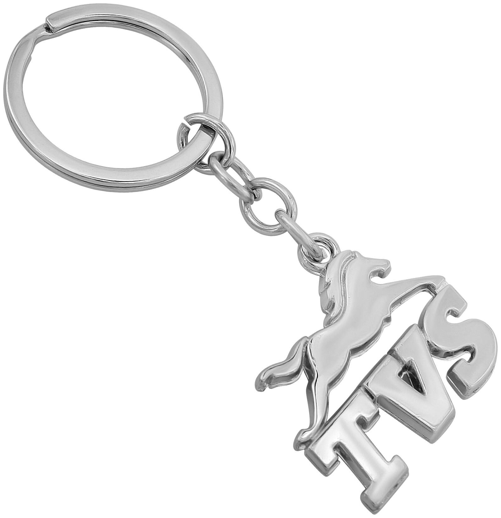 

Memoir Stainless Steel TVS Keyring Ley Chian Bike Latest