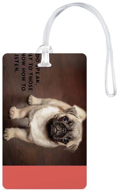 

100yellow Luggage Tag- Animal Printed High Quality PVC Travel Bag Tag with Silicon Strap- Ideal For Gift