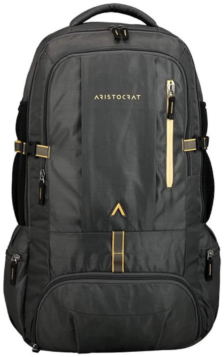 

ARISTOCRAT Polyester Men Rucksack - Grey