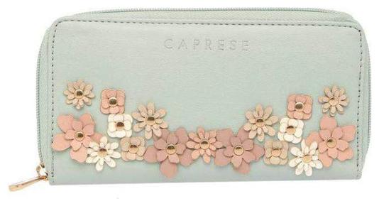 

CAPRESE Women Green Leather Wallet