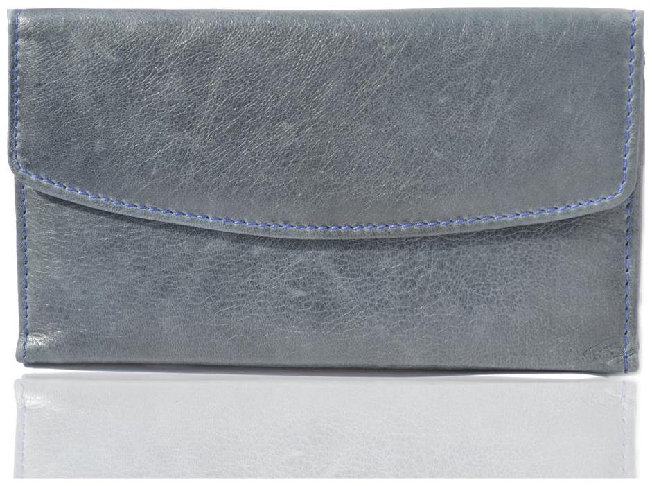 

Crapgoos Women Blue Leather Clutch