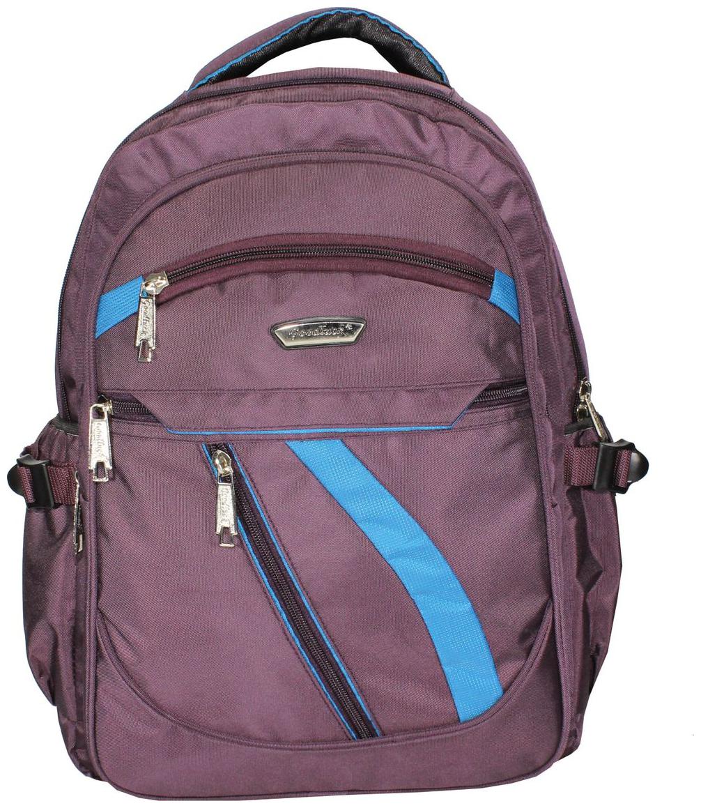 

Goodluck Purple Waterproof Canvas Backpack