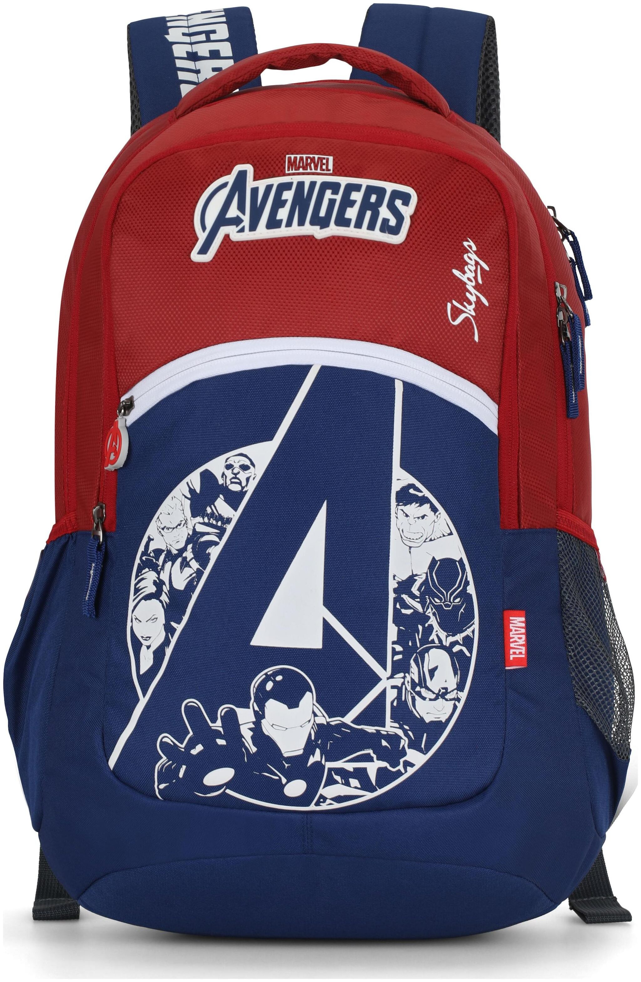 

Skybags Backpack