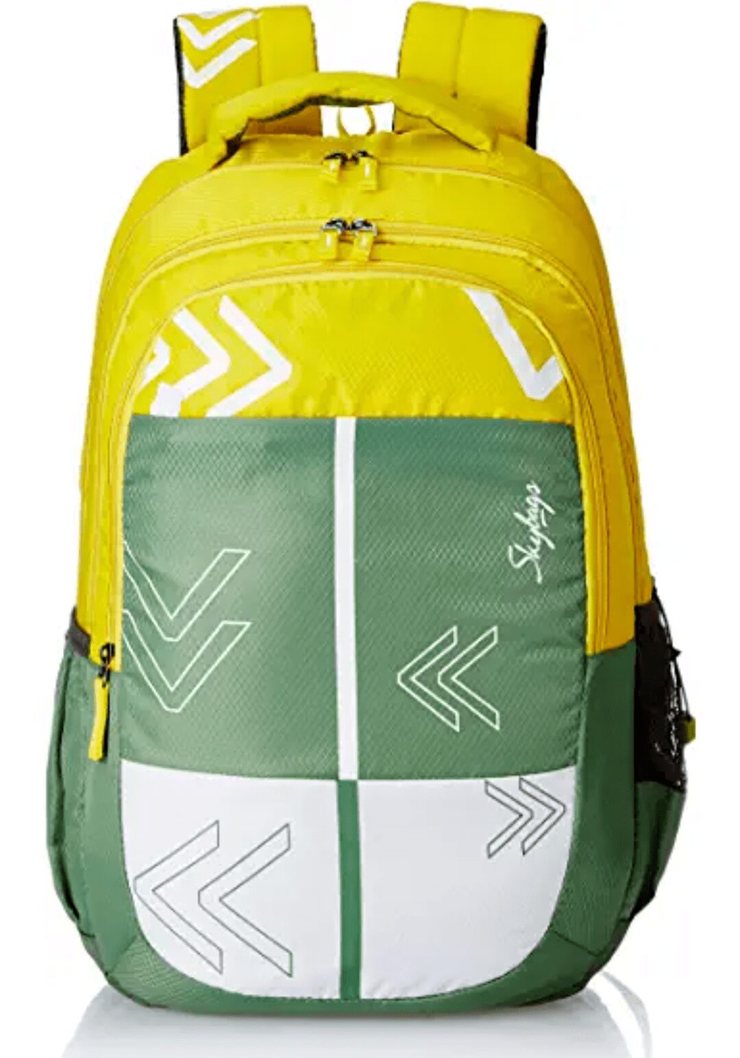 

Skybags Bingo Plus 04 Waterproof Laptop Backpack