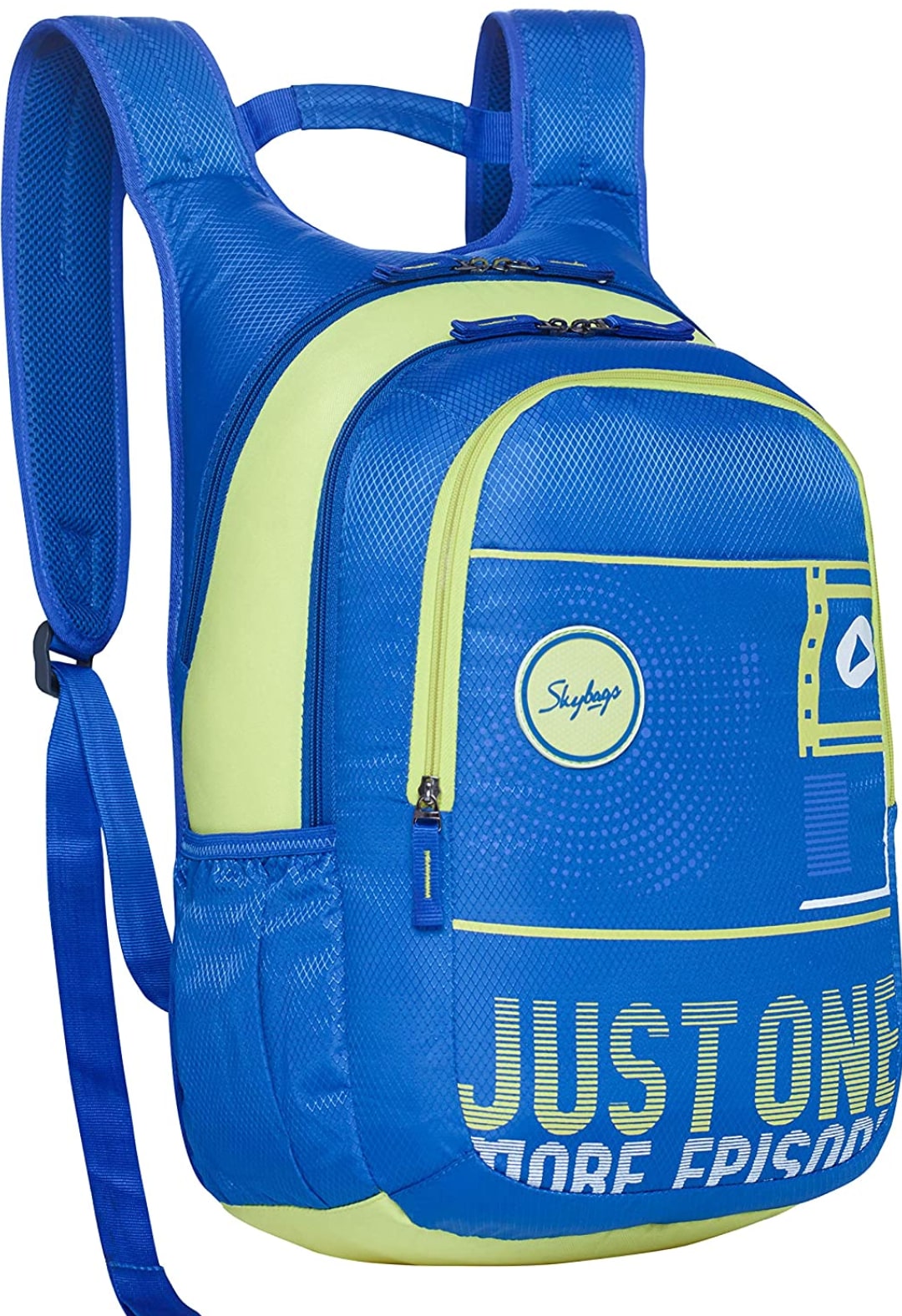 

Skybags Laptop Backpack