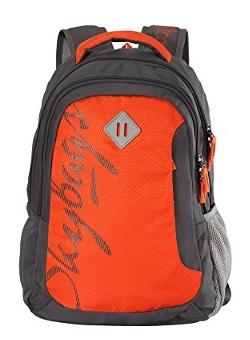 skybags bpleo1ong 24 l backpack