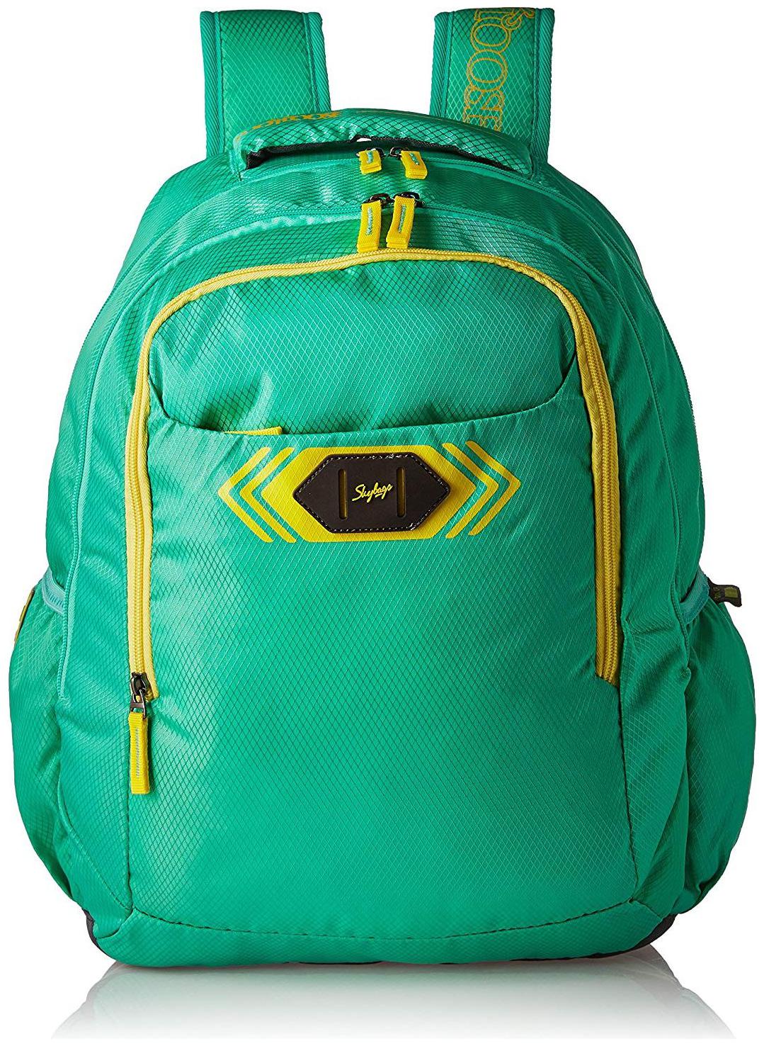 

Skybags SKYBAGS BPVIBFS2TEL Backpack