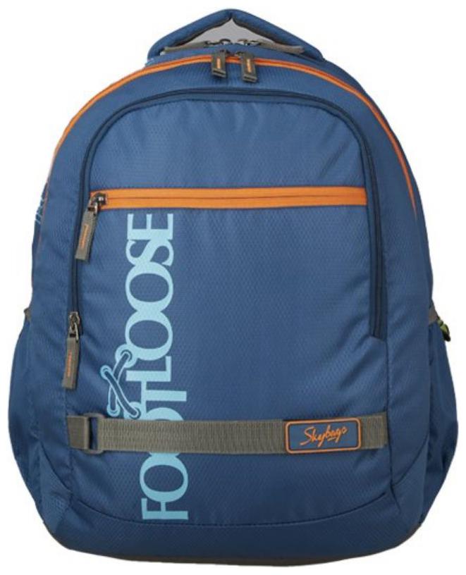 

Skybags Backpack Backpack