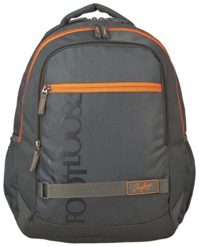 

Skybags Backpack Backpack