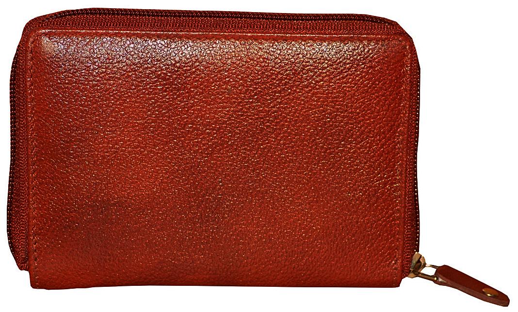 

STYLE SHOES 98 Women Brown Leather Wallet