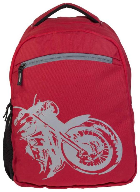 

TAN WORLD TWLTBP02 Laptop Backpack